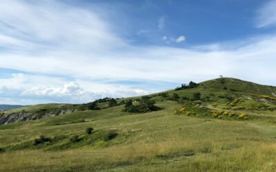 The land and means of production ownership question