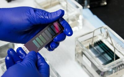 Forensic Science as a basis for a Bigger Truth