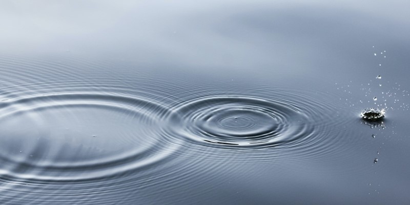 Water is to Life as Concepts are to Change