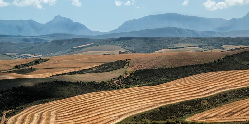 The land and means of production ownership question – Part II